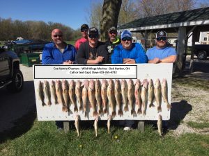 Lake Erie charter fishing for walleye