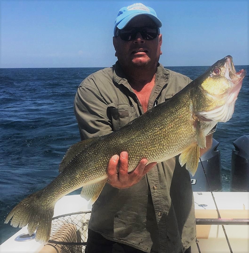 Lake Erie Walleye fishing charters, Lake Erie Perch fishing charter, fishing  on Lake Erie, Lake Erie sportfishing, Lake Erie Bass fishing charters