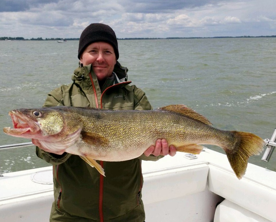 Lake Erie walleye fishing charters