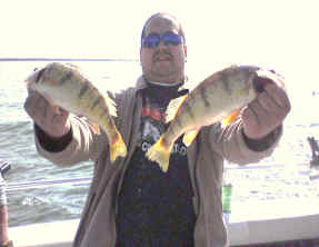 Yellow perch action on Lake Erie