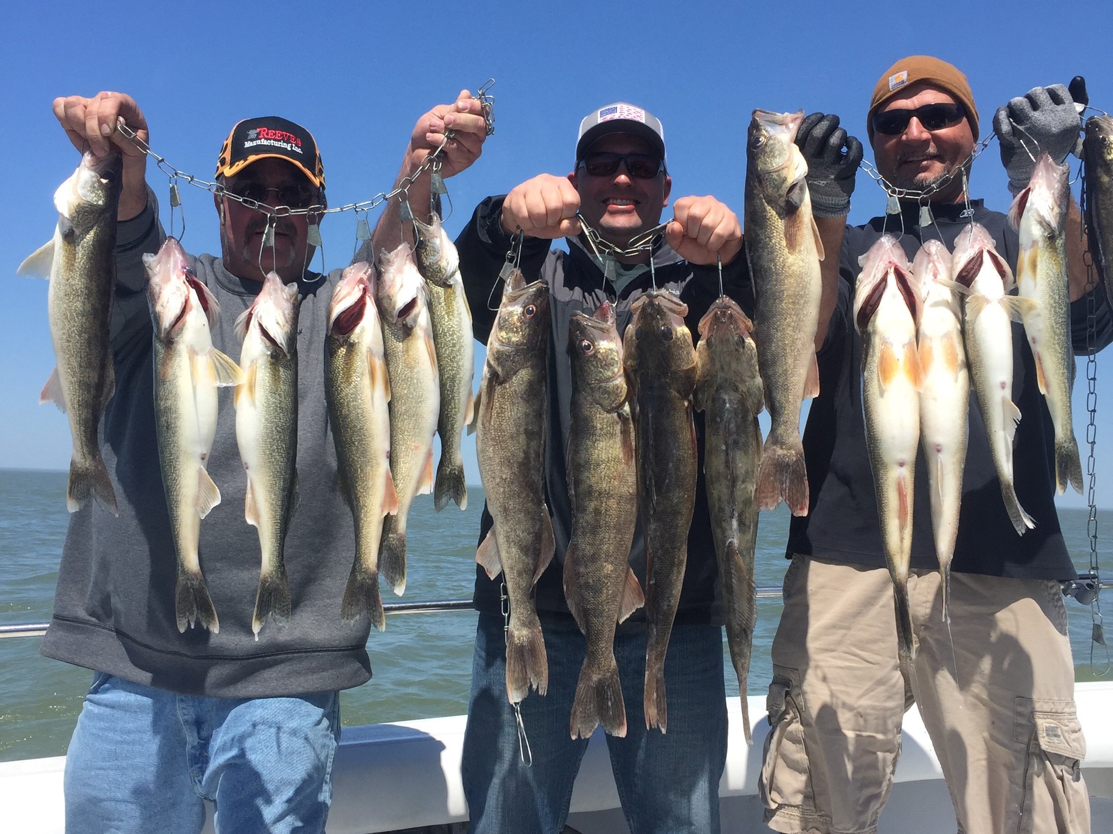 Walleye charter fishing on Lake Erie
