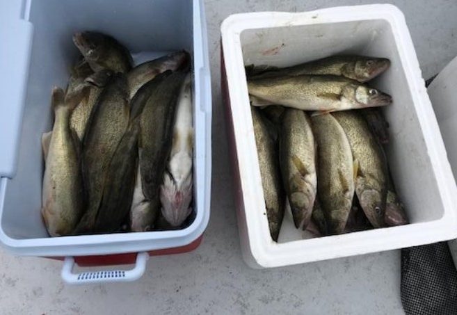 Lake Erie-Fishing Charter